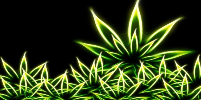 2560x1440 Trippy Rasta Weed Wallpapers – Page 3 – 4kwallpaper.org