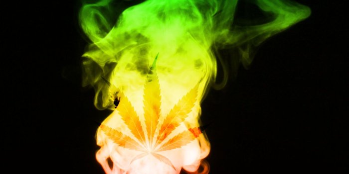 1365x1706 Rainbow Rasta Weed Wallpapers – Daily Inspiration Quotes