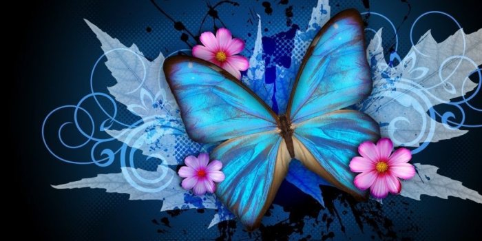 1024x768 Abstract Butterflies Desktop Wallpapers - Top Free Abstract