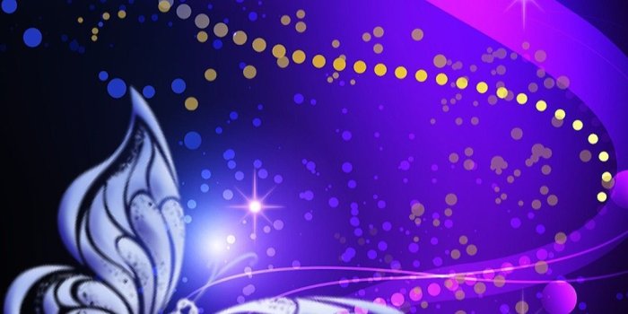1080x2220 Black & Purple Background with Butterfly..