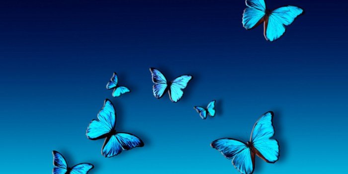 1280x800 Butterfly Abstract Wallpapers - Top Free Butterfly Abstract
