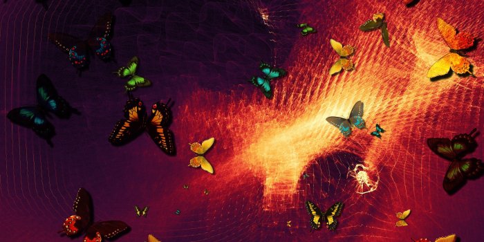 2560x1440 Wallpaper Butterfly, abstract background, design 3840x2160 UHD 4K