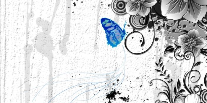 1366x768 Butterfly Flower Abstract Hd 1080p Wallpaper - Abstract Butterfly