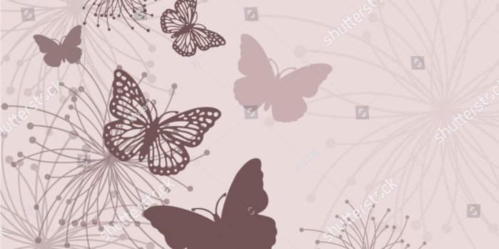 1500x1194 26+] Wallpaper Butterfly Abstract on WallpaperSafari