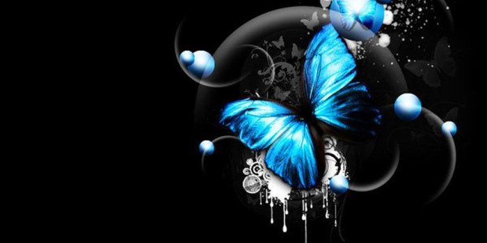 1024x768 3D Butterfly | 3D Image and piture | Butterflies... Butterflies