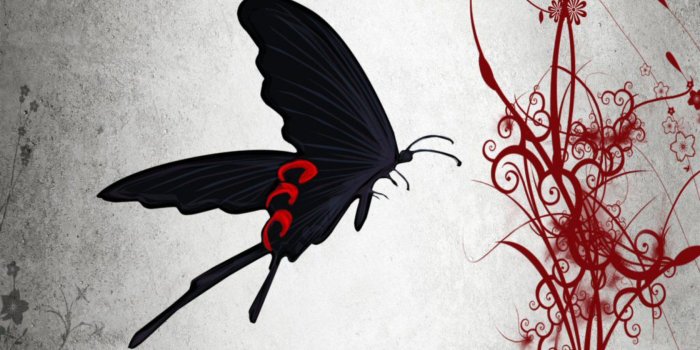 1680x1050 Butterfly abstract wallpaper Gallery