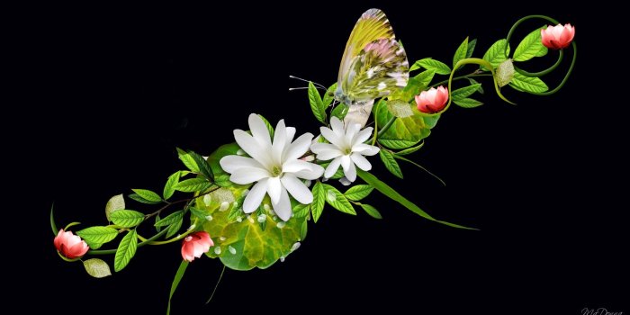 1920x1080 Abstract Flowers With Butterfly Black Wallpape #5571 Wallpaper