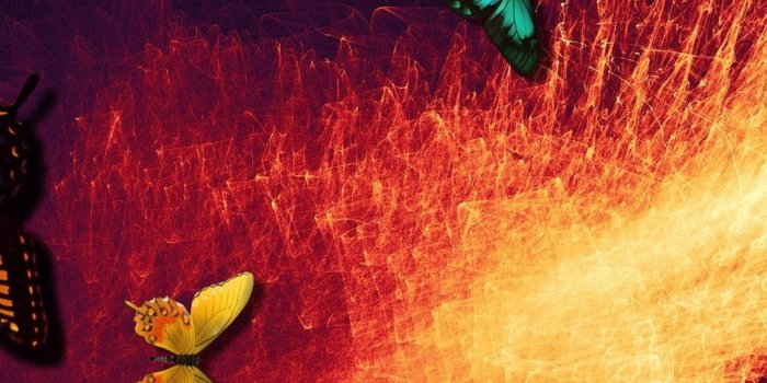 1080x1920 Butterfly, abstract background, design 1080x1920 iPhone 8/7/6/6S