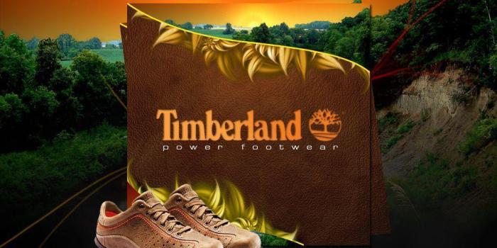 1024x768 Timberland Wallpapers