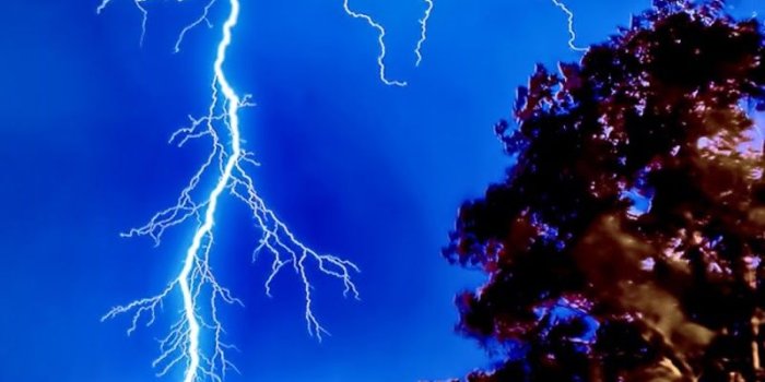 800x1024 Galaxy Note HD Wallpapers: Lightning Strike Forest Lake Galaxy Note