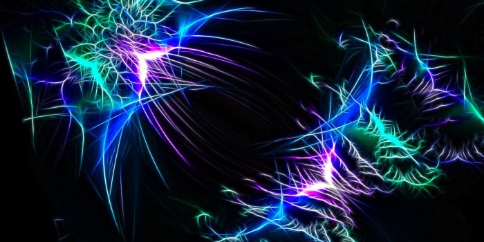 1920x1200 Forest Butterfly, abstract, beauty, butterfly, colorful, cool