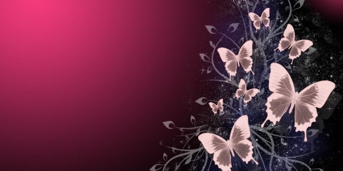 1024x768 Download Free 250 High Quality Butterfly Wallpaper | The Quotes Land