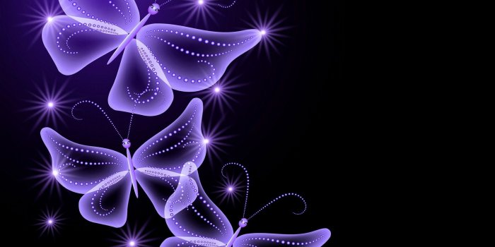 2160x1920 Butterfly Wallpaper Desktop ·① WallpaperTag