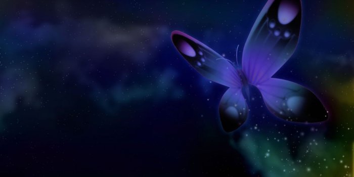 1500x1200 Beautiful Butterfly | HD 3D and Abstract Wallpapers for Mobile and