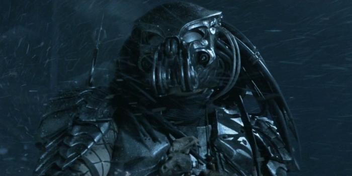 1920x818 Celtic Predator (2004's Alien vs Predator) - AvPGalaxy