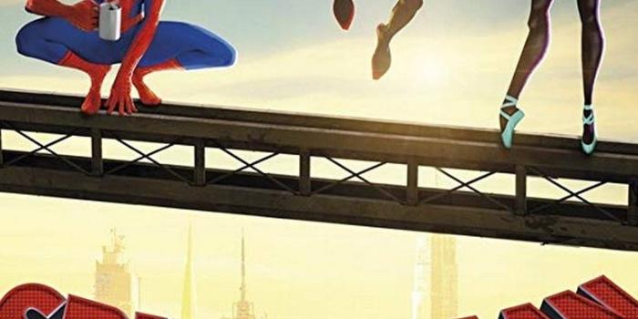 1080x1920 Cute Spider Man Into The Verse Download Poster 2019 Movie Wallpaper HD