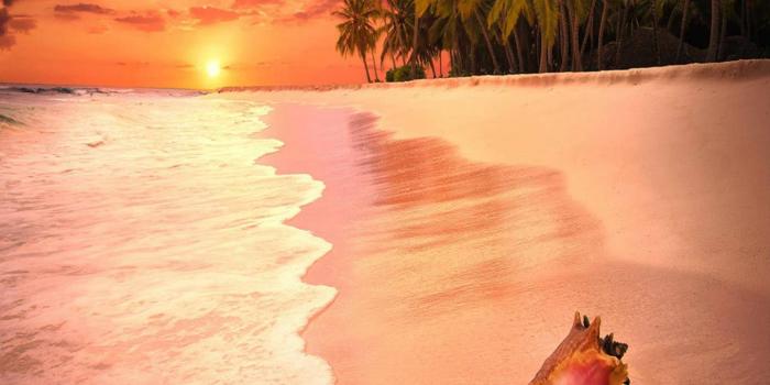 1440x1280 Romantic Beach Wallpaper by _Savanna_ - b7 - Free on ZEDGE™