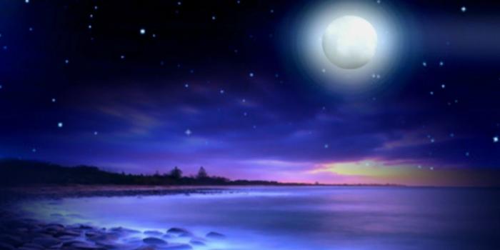 1920x1080 64+ Beach Moon Wallpapers on WallpaperPlay