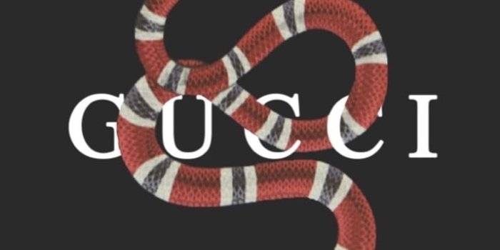 713x1280 Gucci Wallpaper (98+ images in Collection) Page 1