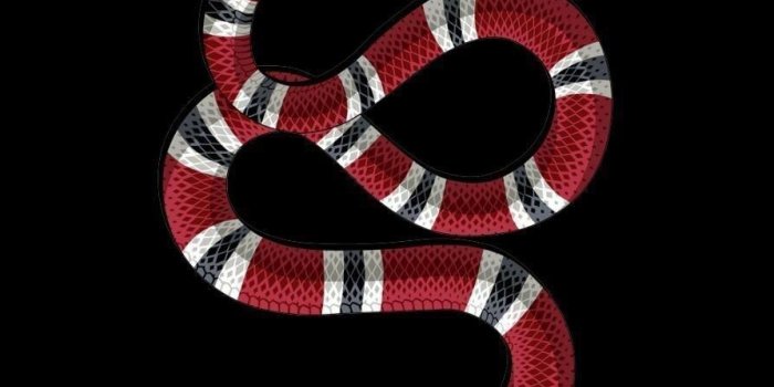 894x1280 Gucci And Supreme Wallpaper Best Of Gucci Marble Wallpaper