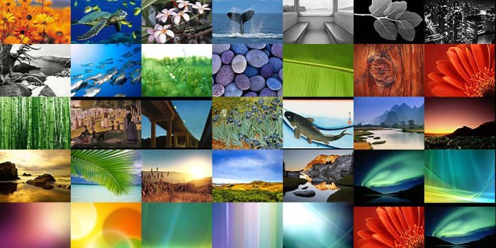 1024x768 54 kinds of wallpapers included in Windows Vista RTM - GIGAZINE