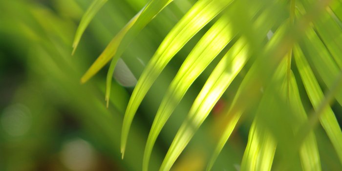 3264x2448 Windows Vista Wallpaper — Karel Donk