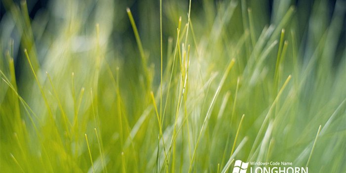 1280x1024 Windows vista - Green Wallpaper (22255152) - Fanpop