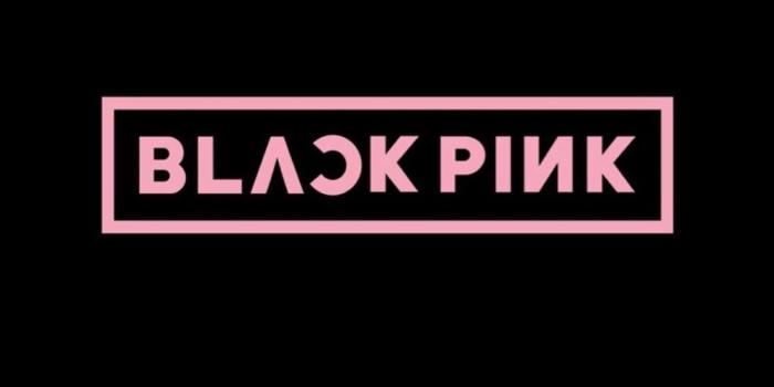 1000x1900 17+] Blackpink Logo Wallpapers on WallpaperSafari