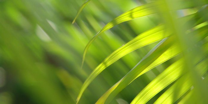 3264x2448 Windows Vista Wallpaper — Karel Donk