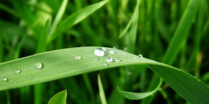 1024x768 Windows Vista Wallpaper (12) | Len Buysers