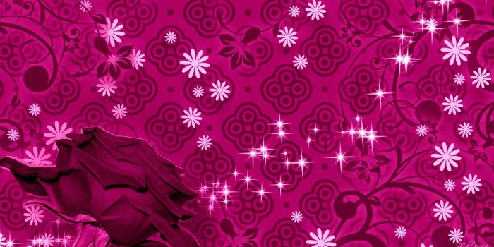 1920x1080 Rose dark Pink HD pattern desktop wallpaper | 3D-HD Wallpaper | Rose