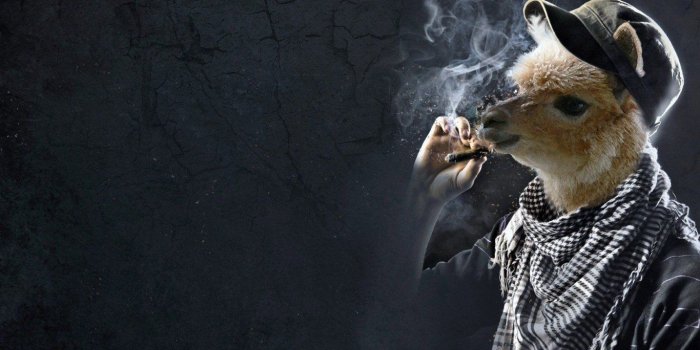 1366x768 Absurd Photos Wallpapers High Quality | Download Free