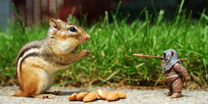 1920x1080 Strange Wallpapers for Desktop (66+ images)