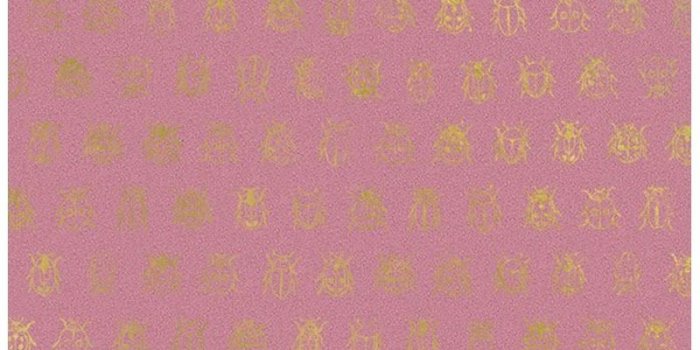 800x1200 Lady Bug wallpaper dark pink