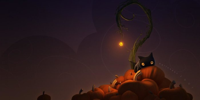 1920x1080 Cute Cat Halloween Wallpaper (65+ images)