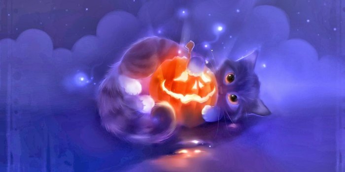 1600x900 Halloween Cat Wallpapers