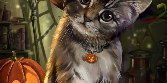 736x1075 3D Cute Halloween Cat Wallpaper iPhone | kittens & puppies