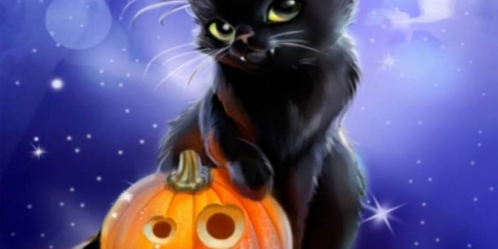 960x854 Halloween Cat Wallpaper by makysek1989 - a6 - Free on ZEDGE™