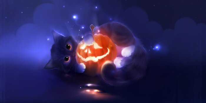 1920x1080 Cute And Lovely Cat For Desktop Wallpaper Wpt7203646 - Halloween Cat