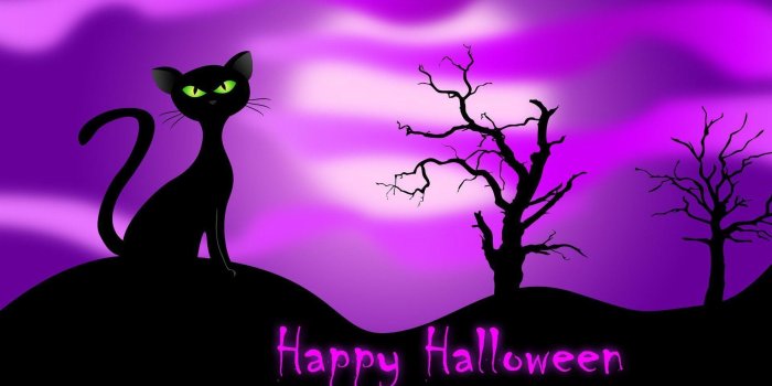 1920x1080 Halloween Cat Wallpapers Wallpaper Cave | Happy
