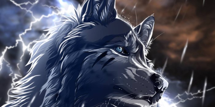 2500x1697 92+] Anime Wolves Wallpapers on WallpaperSafari