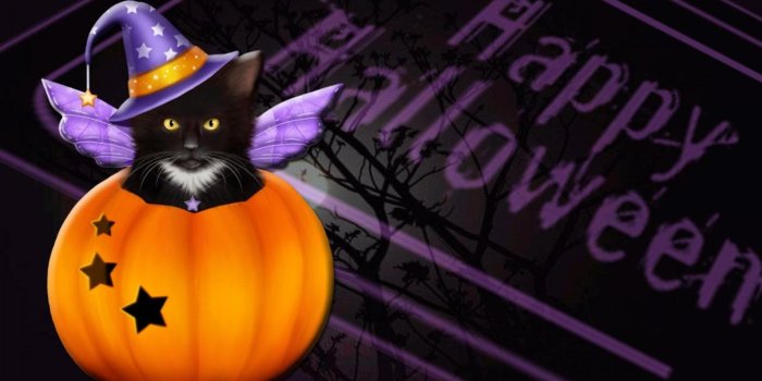 1920x1080 Halloween Cat Wallpapers ( Desktop Background