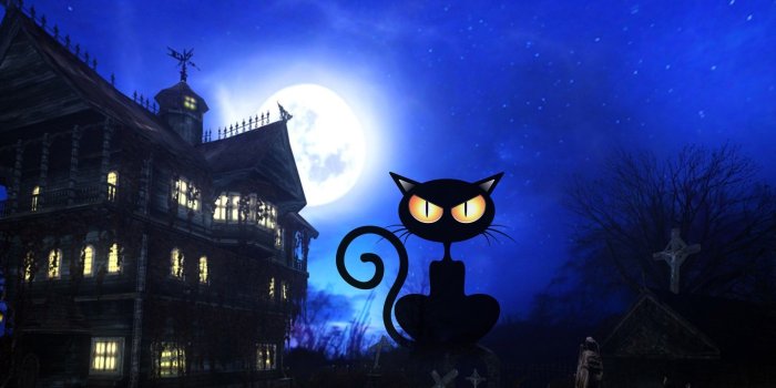1920x1080 Halloween Black Cat Wallpaper 34681 - Baltana