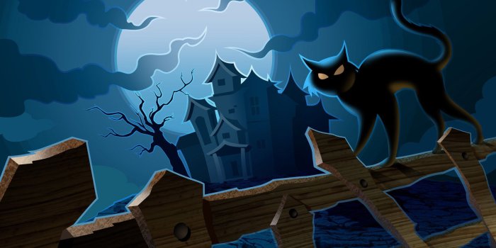 1920x1200 Halloween Cat Wallpaper ·① WallpaperTag