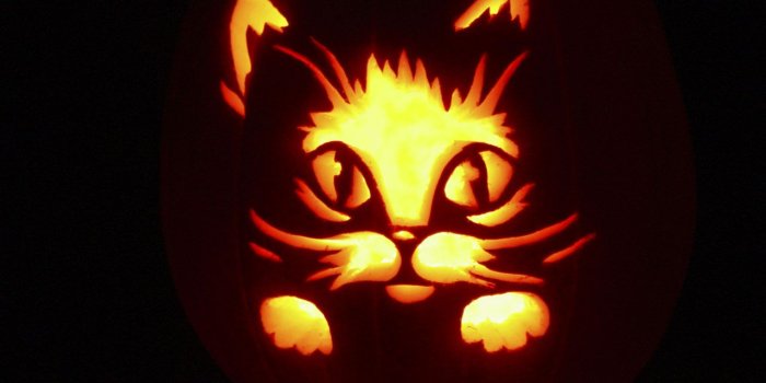 1280x1024 Download Halloween Cat PPT Backgrounds for your PowerPoint