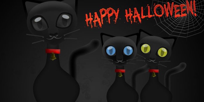 1920x1200 Halloween Black Cat Wallpapers And PSD « Tick Tock Computers Web