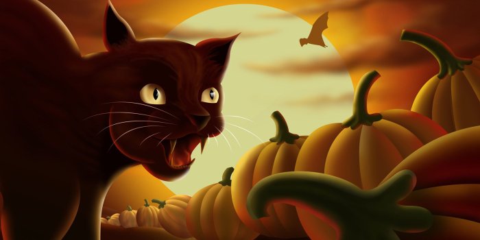 1920x1200 Halloween Cat Wallpapers (61+ background pictures)