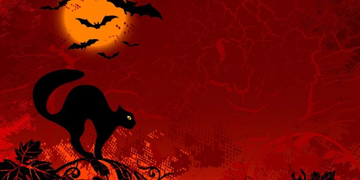1920x1200 Black Halloween cat HD Wallpaper
