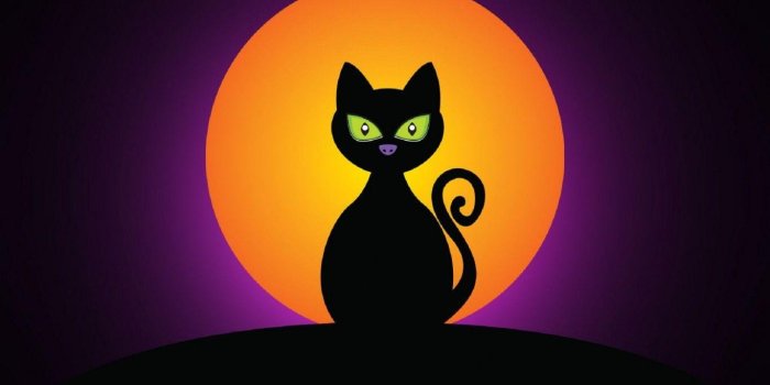 1366x768 Halloween Cat Wallpapers
