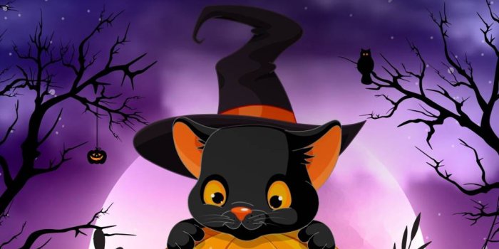 990x1280 Halloween cat Wallpaper by ChaosAngel7 - e0 - Free on ZEDGE™